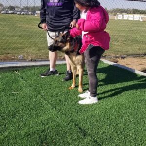 jason wright Gallery