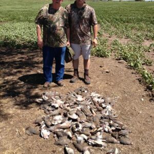 bobby alford Gallery