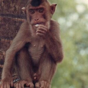 danny richard Gallery