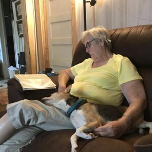 joanne sargent Gallery