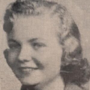 dianna meyer Gallery