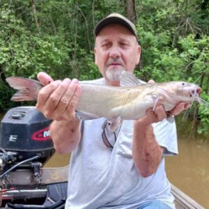 kenneth precise Gallery