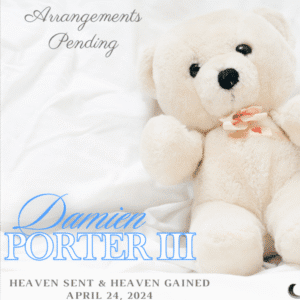 damien porter Gallery