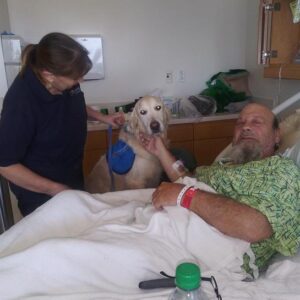 danny richard Gallery