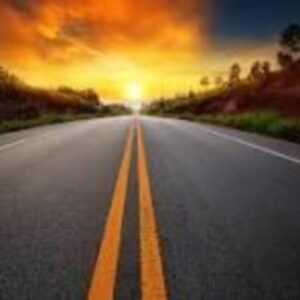 cameron lanclos Gallery