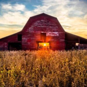 danny freeman Gallery