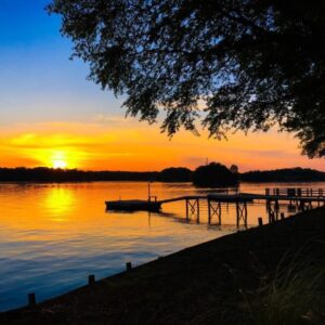 henry hester Gallery