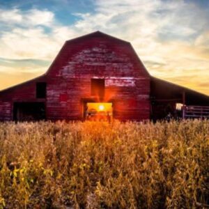 jerry lindley Gallery