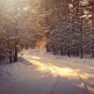 joshua jacobs Gallery