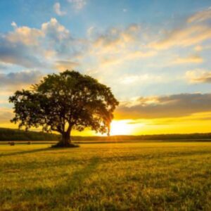 nathan daffern Gallery