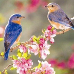 patricia wiedenman Gallery