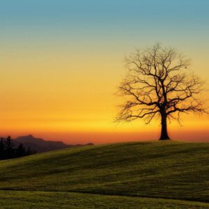 terry hughes Gallery