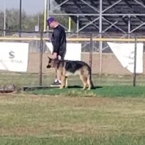 jason wright Gallery