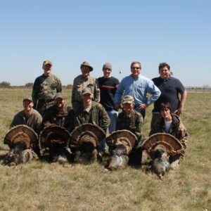 garry bryant Gallery