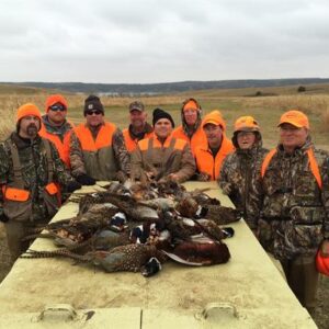 bobby alford Gallery